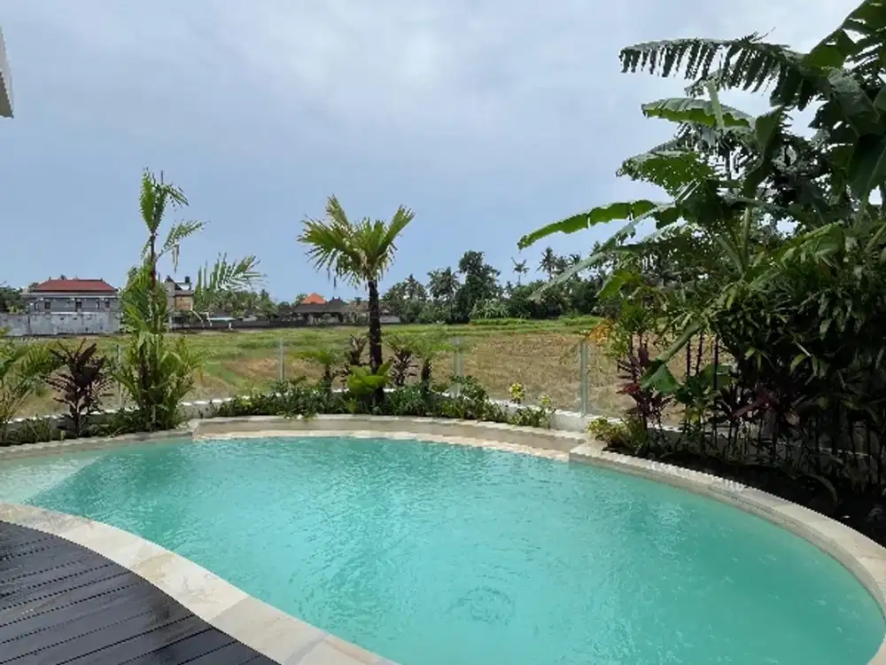 villa sale view sawah