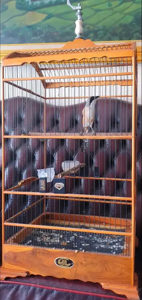 Cendet prestasi materi komplit