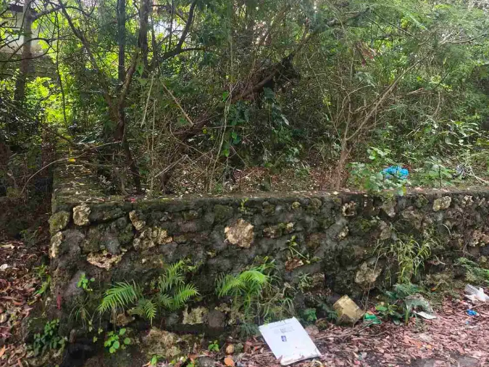 dijual tanah 1,60  are harga 850 juta per are dekat Nirmala Pecatu