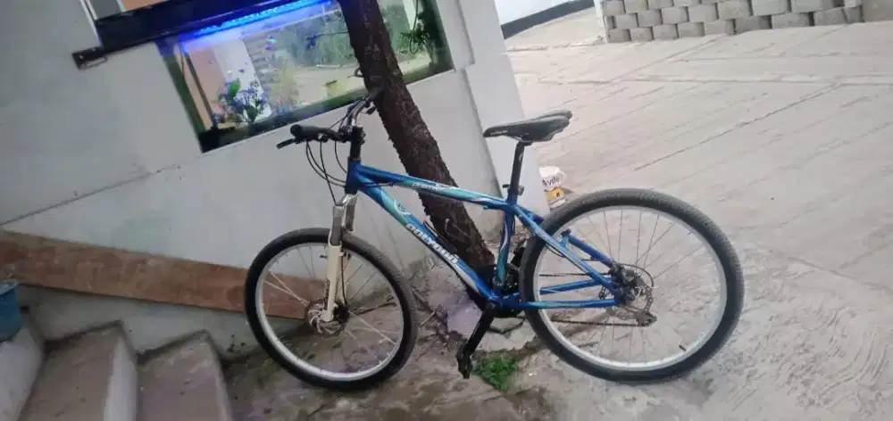 Sepeda MTB Polygon Primer 2
