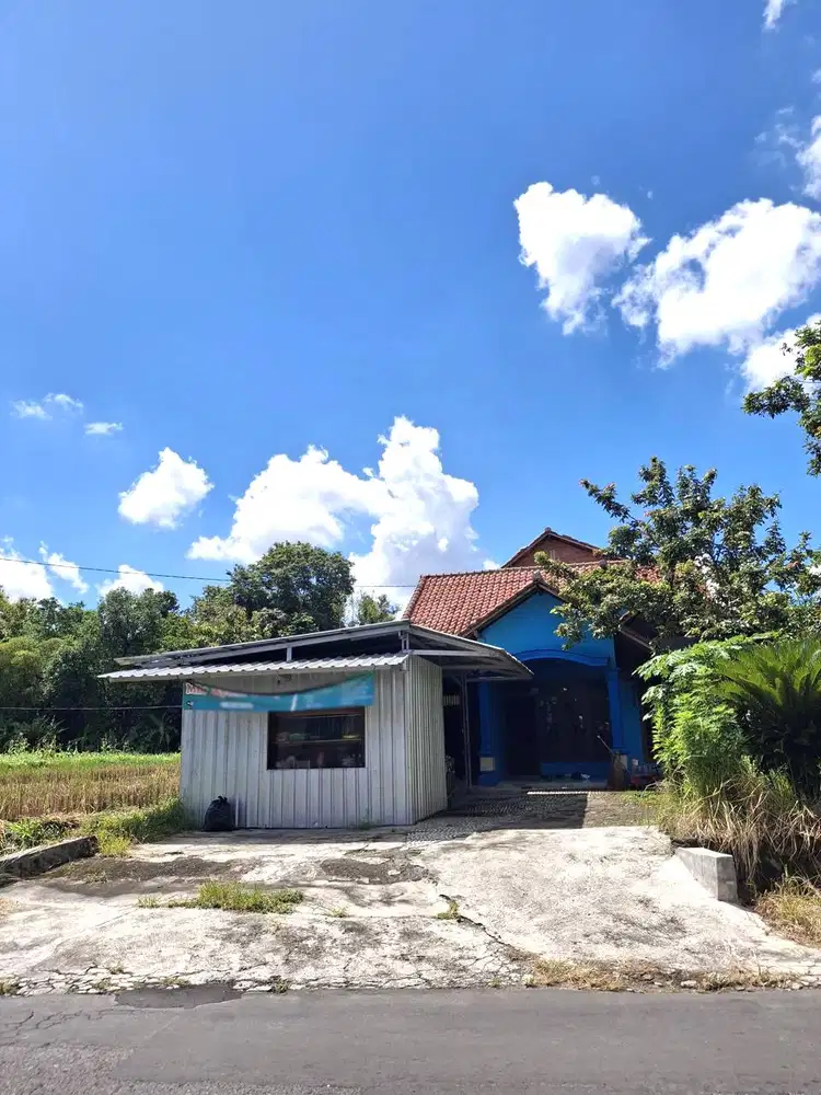 Rumah Halaman Luas Tepi Jalan Aspal di Pandowoharjo