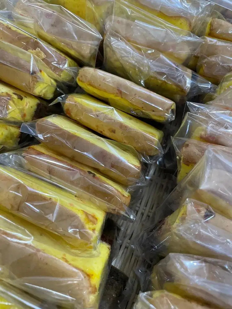 ART Serabutan pulang pergi