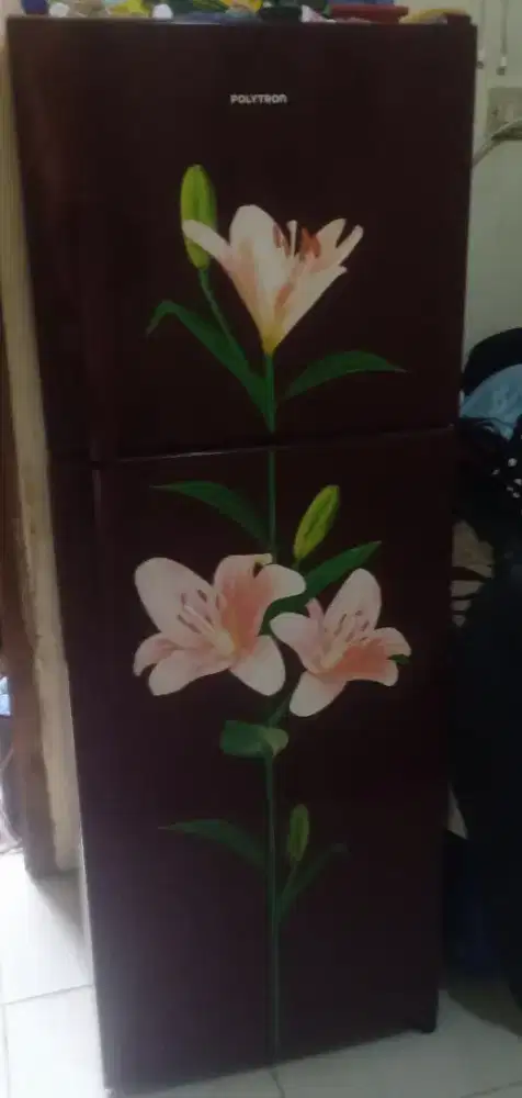 Kulkas polytron 2pintu