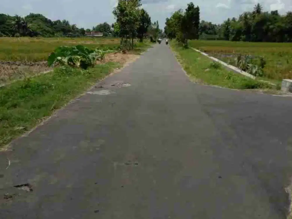 JUAL SAWAH TEPI JALAN ASPAL DEKAT PASAR NGIJON DI MINGGIR SLEMAN YOGYAKARTA