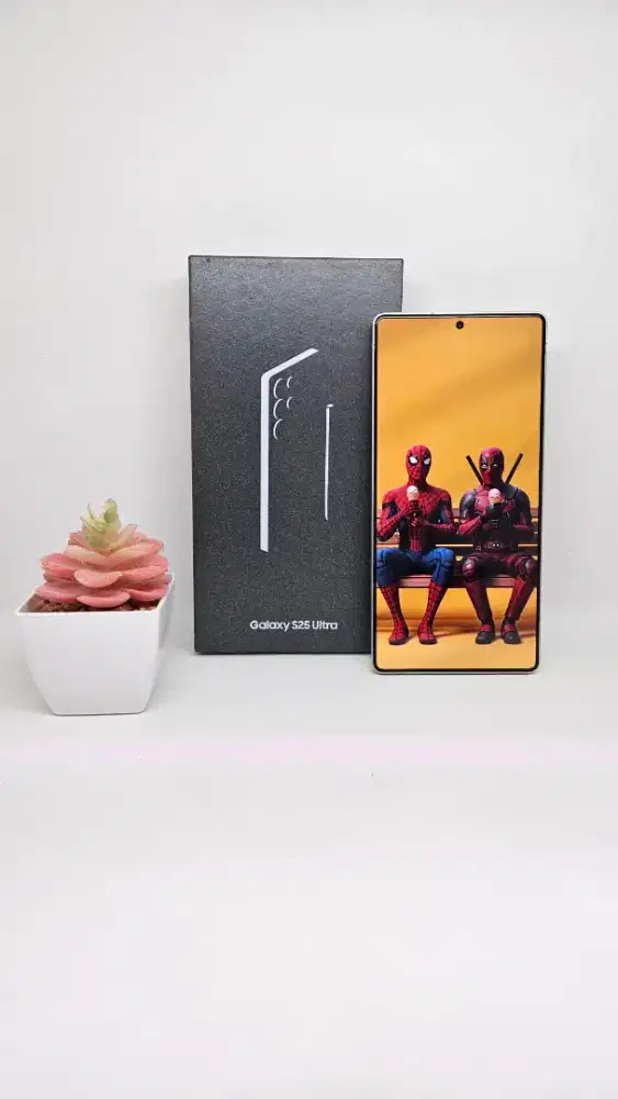 Samsung S25 ultra like new 12/256 GB (Titanium grey) SEIN 09-04-2026