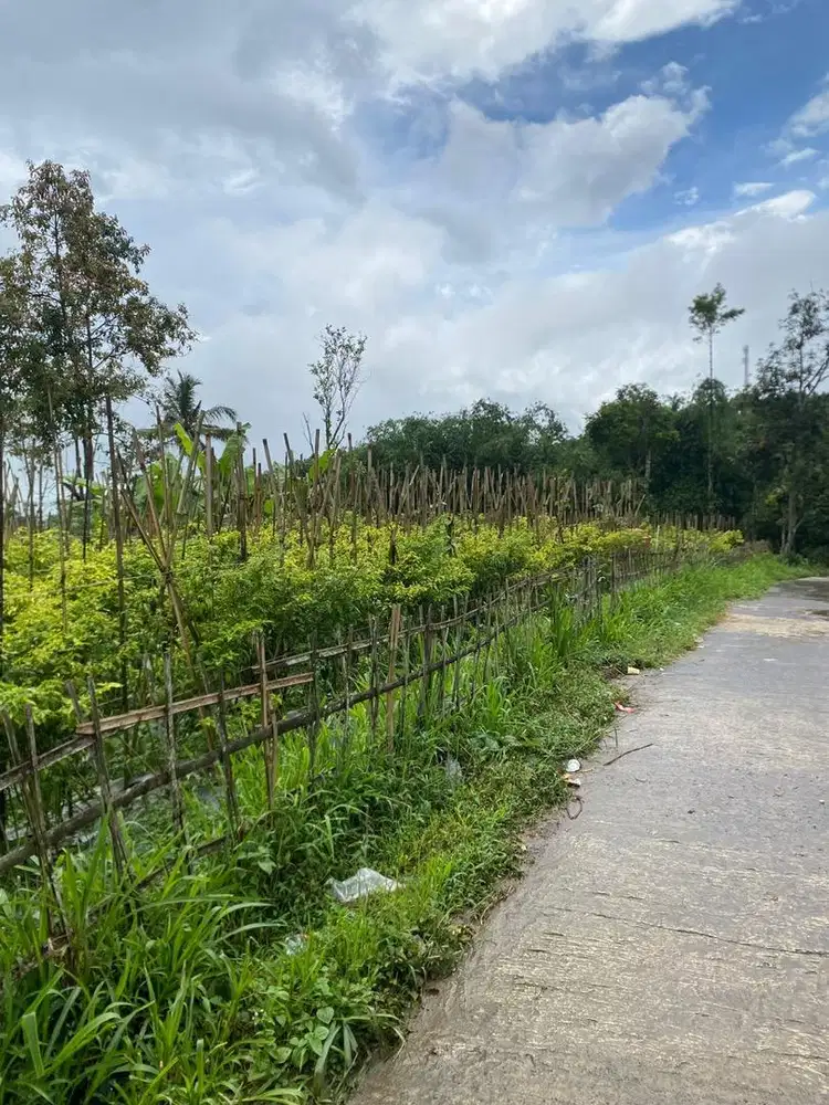 Dijual Tanah 2000 m² Pinggir Jalan – Lokasi Nyaman & Asri