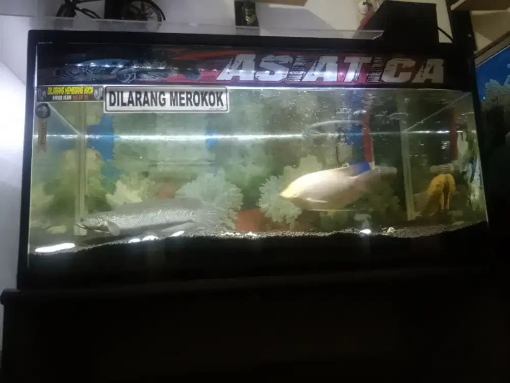 Aquarium akrilik 80X40x40 satu set