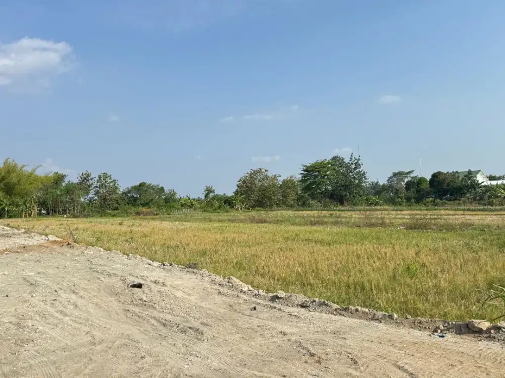 Dekat Pasar Sidokarto Tanah Kavling Samping Jalan Cocok Untuk Bisnis