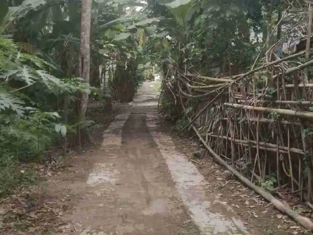 Tanah pekarangan dekat pasar cebongan