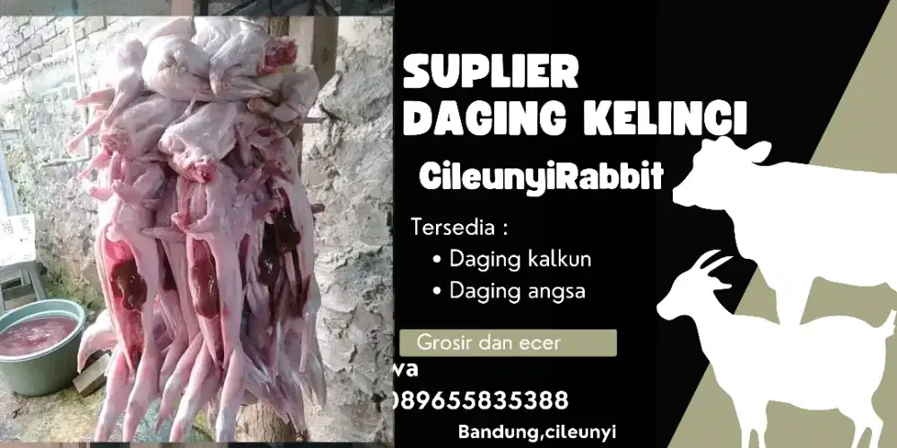 Jual daging kelinci