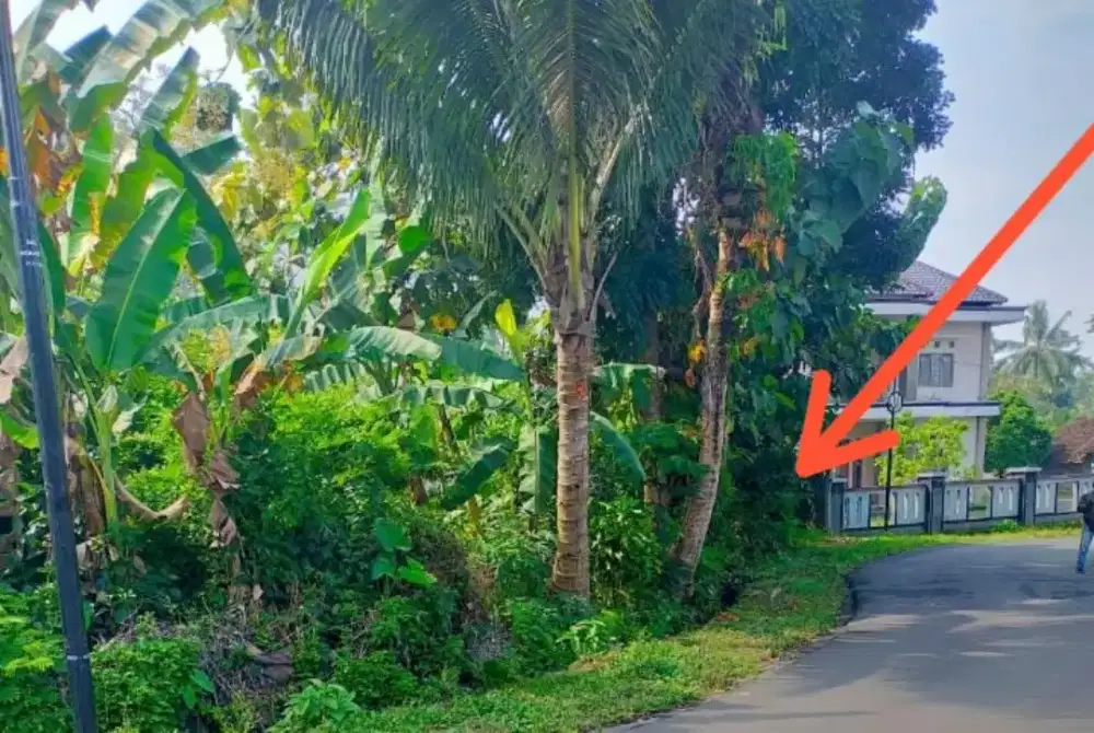 Dijual Tanah Sawah Bagus Dekat Lapangan Bangunkerto Turi Sleman