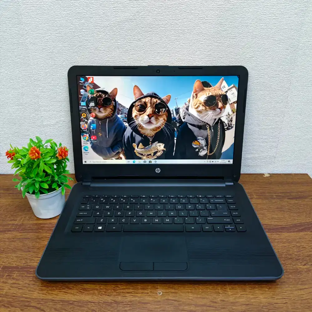Laptop Hp 245 G5 Ram 8GB SSD 240GB sata 14inc Murah