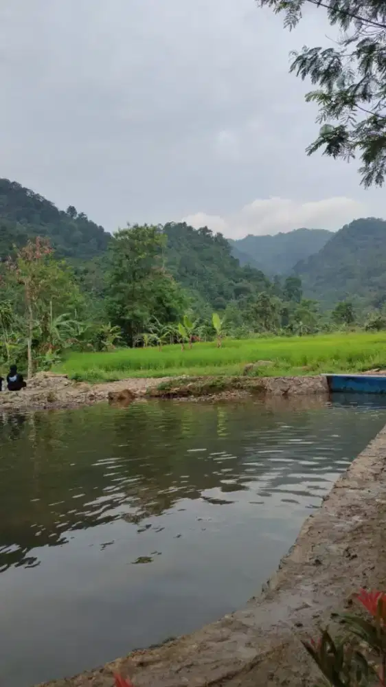 DI CARI ASISTEN RUMAH TANGGA/ART