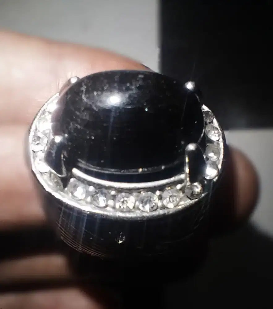 Batu Galh Kelor Fosil