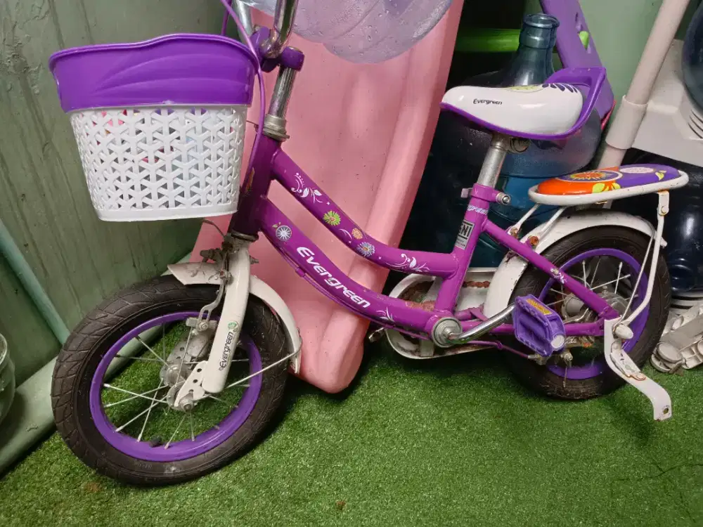 Sepeda roda tiga anak evergreen