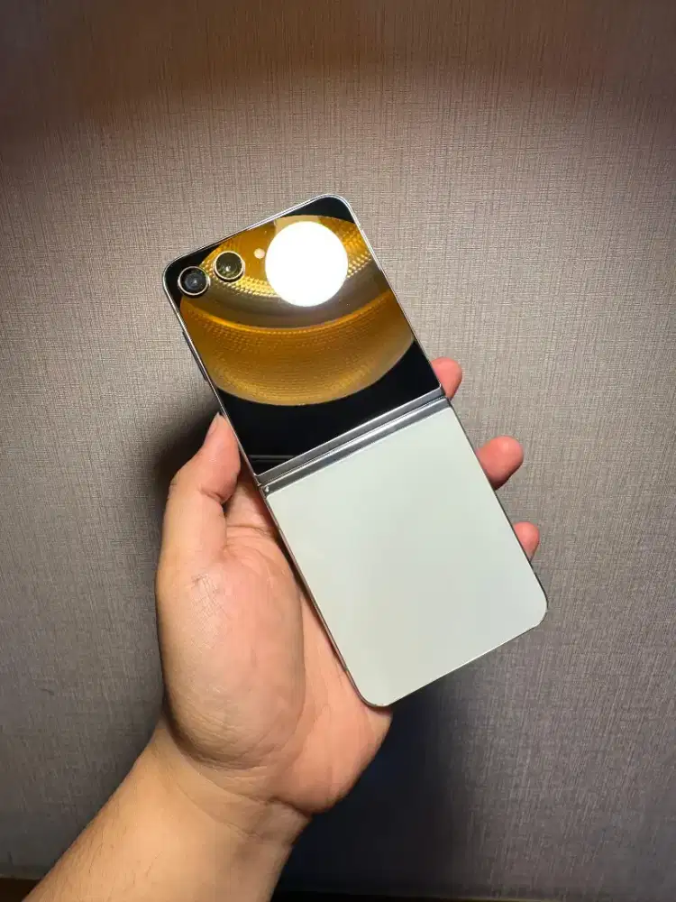 Samsung Galaxy Z Flip 5 512gb Sein