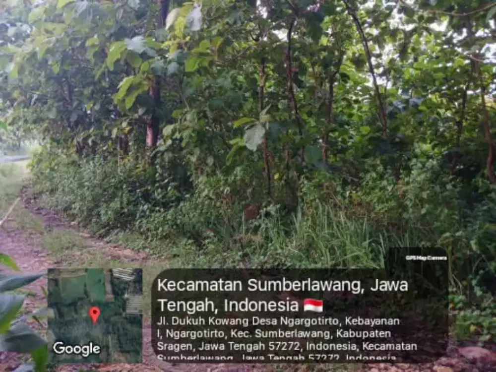 JUAL CEPAT! TANAH UNTUK PERTANIAN DAN PETERNAKAN