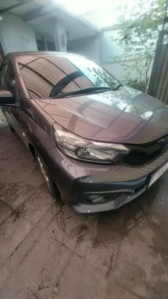 TGN 1 DR BR BRIO E AT.CAT ORIGINAL