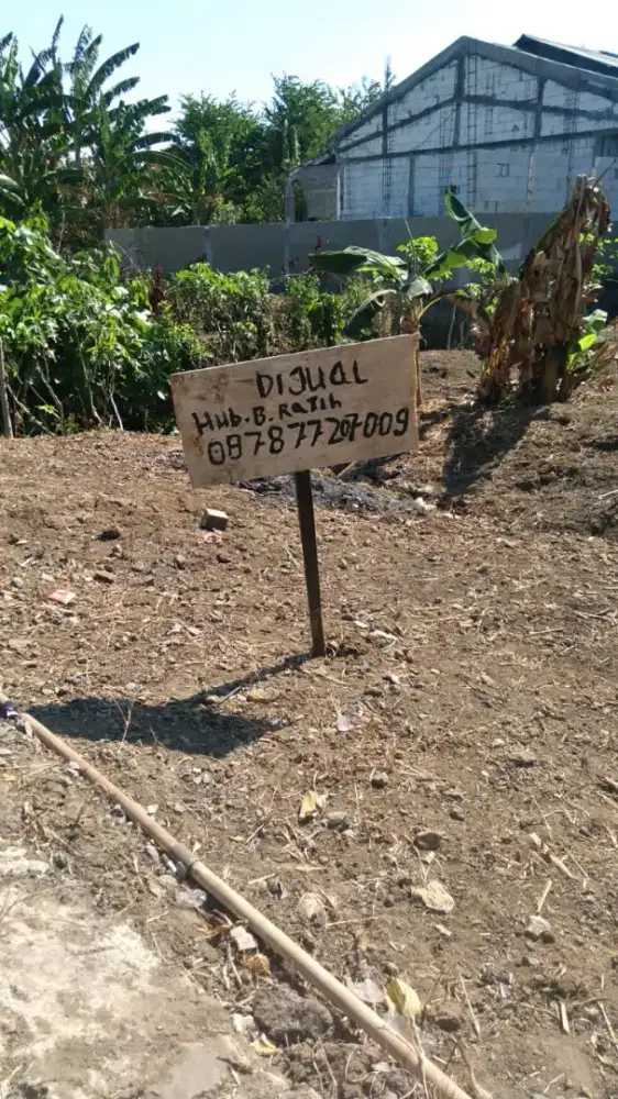 Jual Tanah Kavling Domas Menganti Gresik