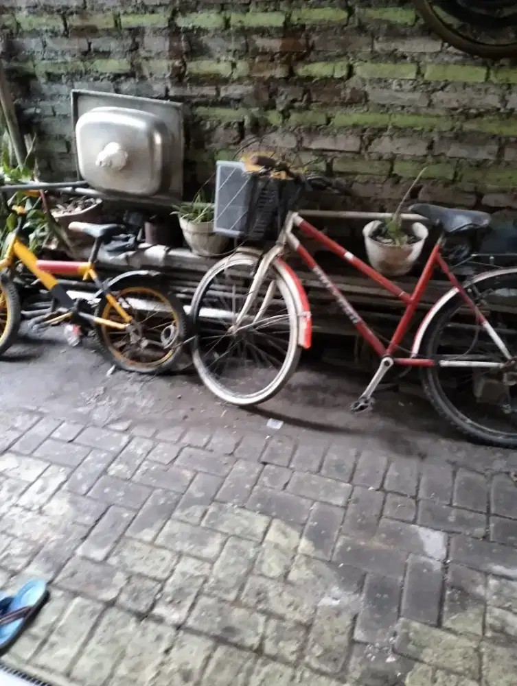 jual sepeda jek mulus murah