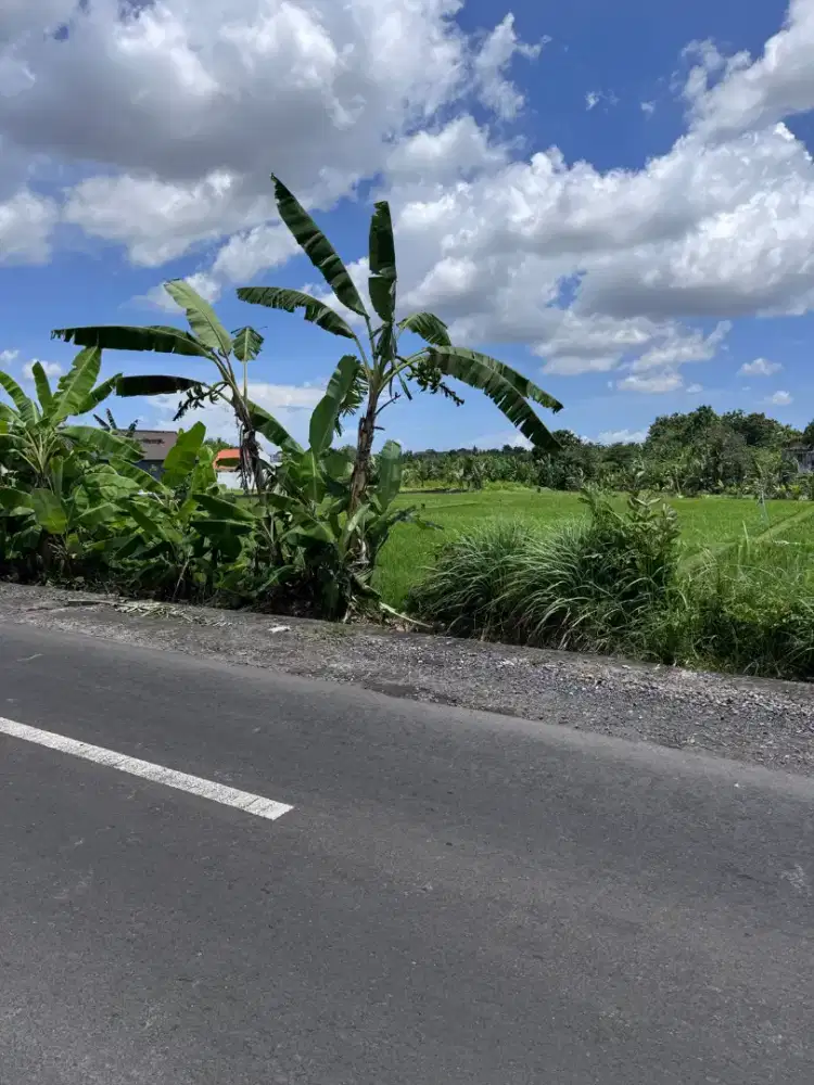 16Mnit to Pererenan Canggu FreeHold luas 23 are