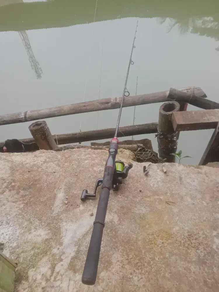 Cari pekerjaan apa aja