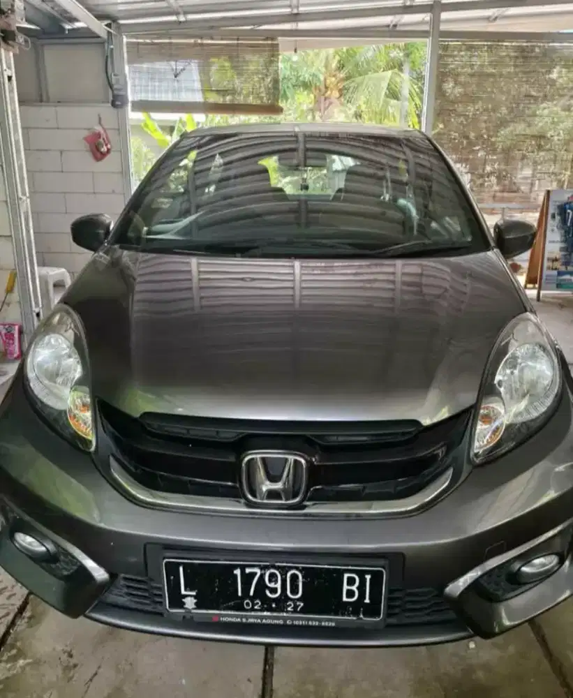 Brio e Satya matic plat L