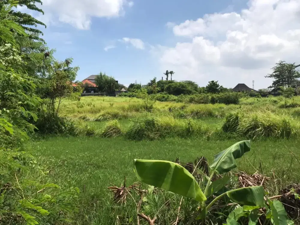 Tanah super murah dan langka di umalas badung bali