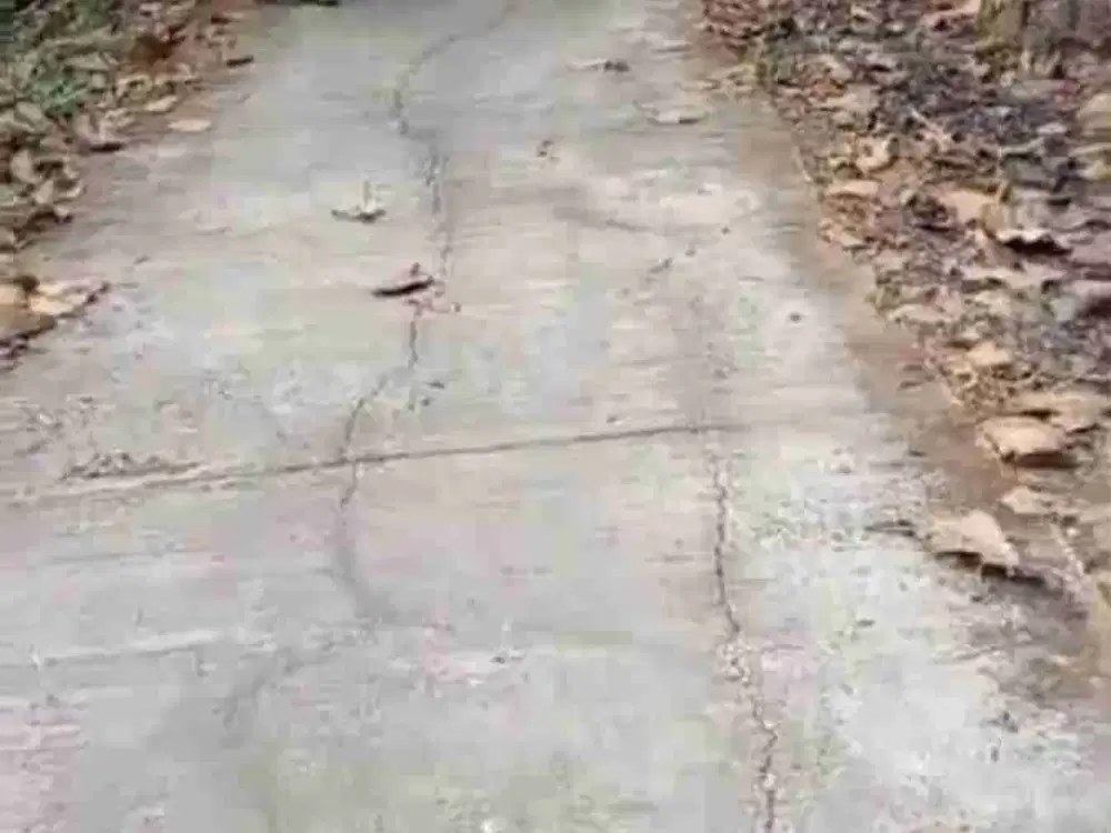 JUAL TANAH DI TUKSONO SENTOLO KULONPROGO ZONA INDUSTRI