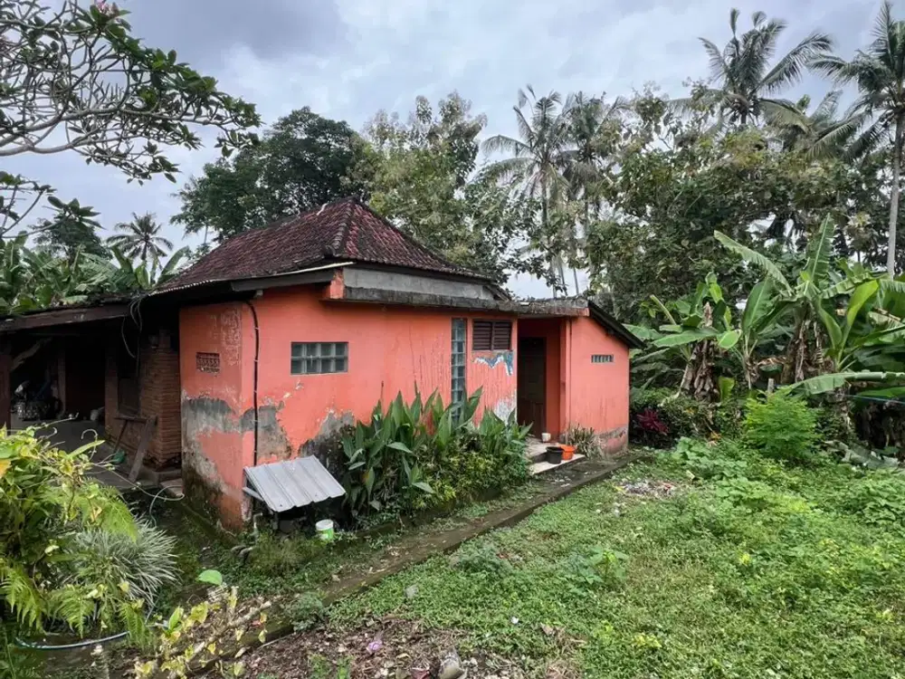 Tanah murah central ubud tirtatawar