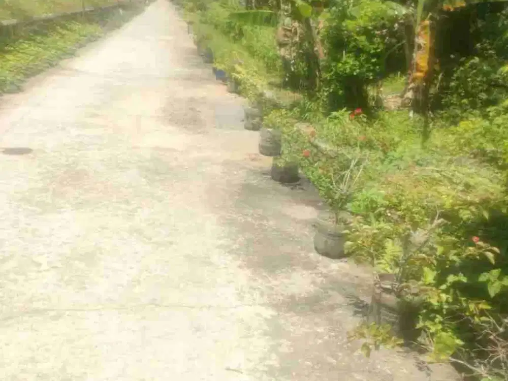 JUAL TANAH DI JANTEN TEMON KULONPROGO