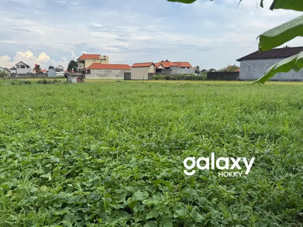 DIJUAL TANAH PERKEBUNAN DI SANUR KAUH DENPASAR, BALI