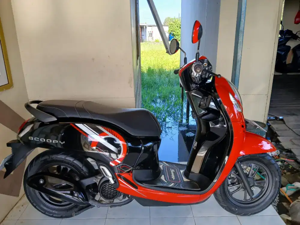 Honda Scoopy Sporty 2024