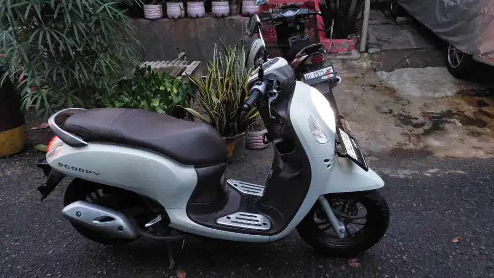 Honda scopy pristige