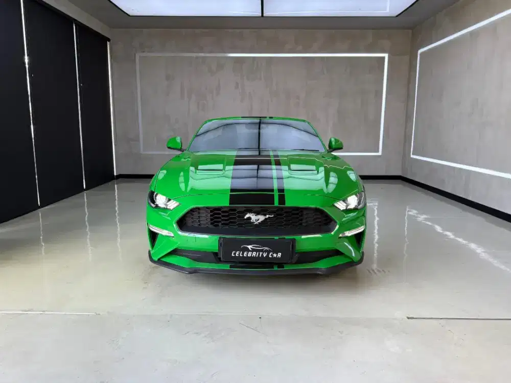 KM 7.000 an Ford Mustang Eco Boost Need For Green 2019