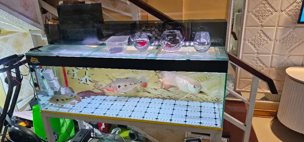 Jual Aquarium full set