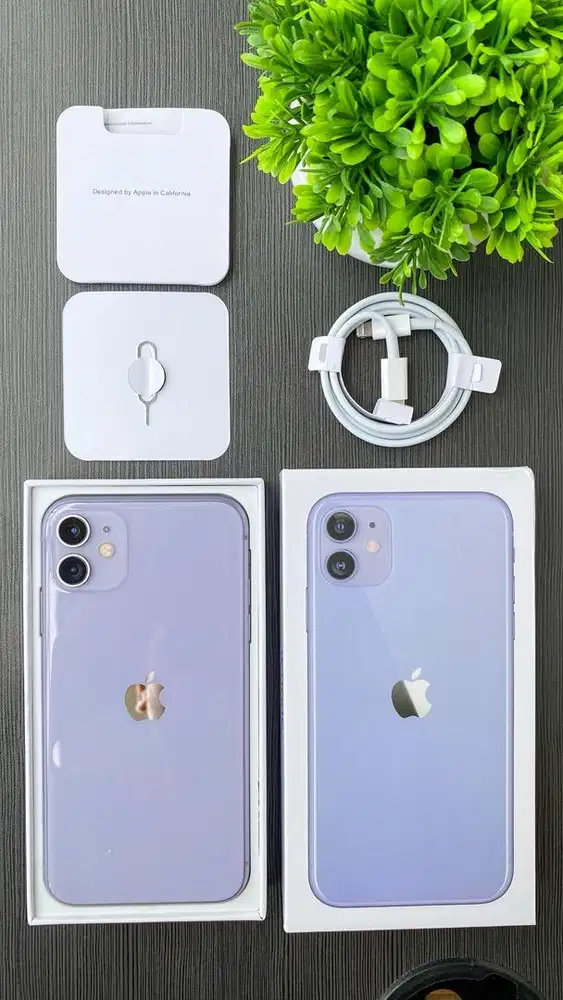 IPHONE 11 64GB INTER PURPLE