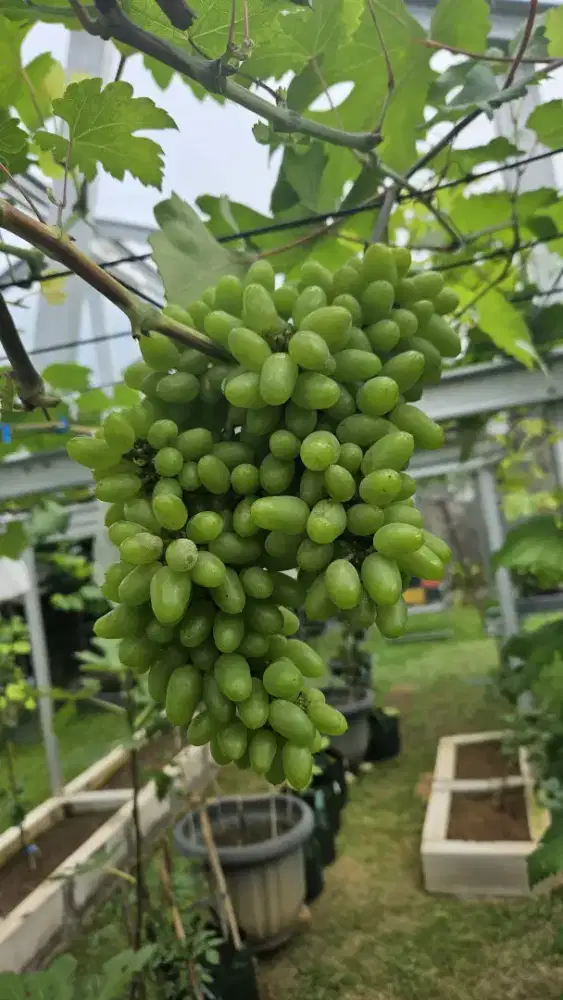 Dibutuhkan admin wanita untuk studio pilates