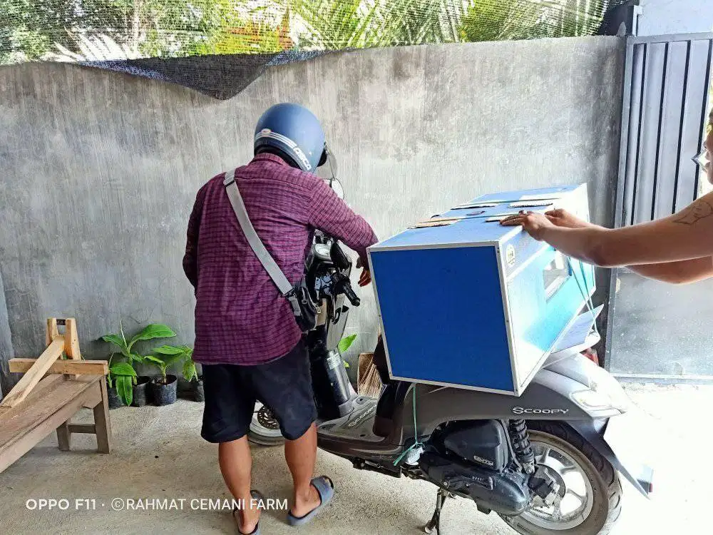 Mesin penetas telur otomatis