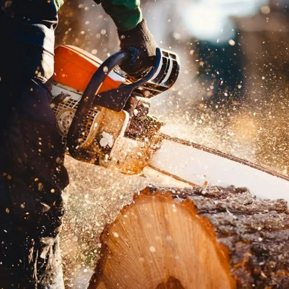 Tebang pohon RBS SERVICE AND CARE