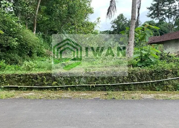 Tanah Kering/Pekarangan Di Pedesaan Berhawa Sejuk