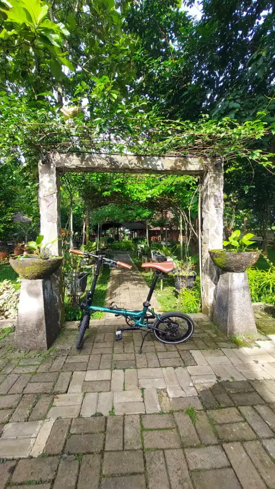 United Black Horse X 16 Second