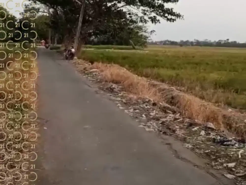 Dijual Tanah Di Jalan Pulo Bunder Sukakarya Bekasi