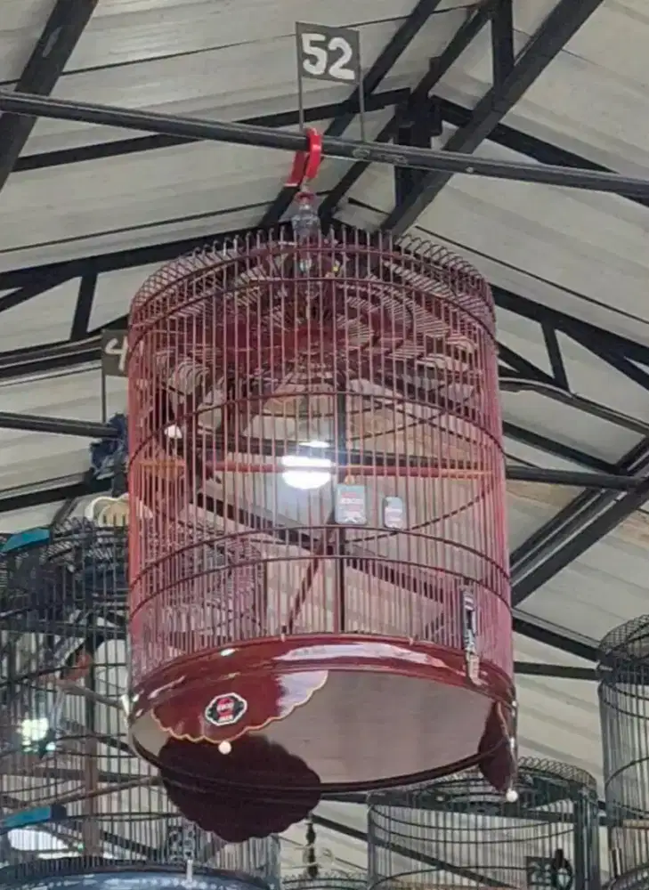 Sangkar Murai Ebod No2