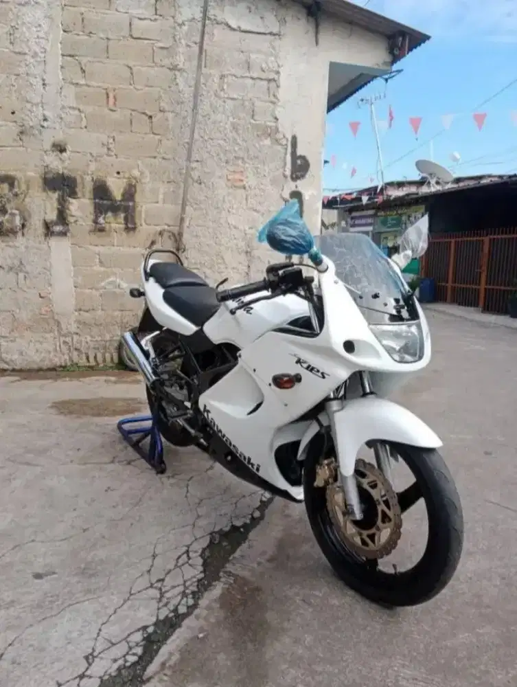 Ninja rr 2010 albino Limited edition