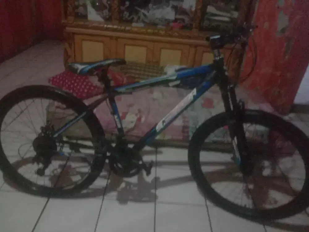 Sepedah mereuk MTB jual bu
