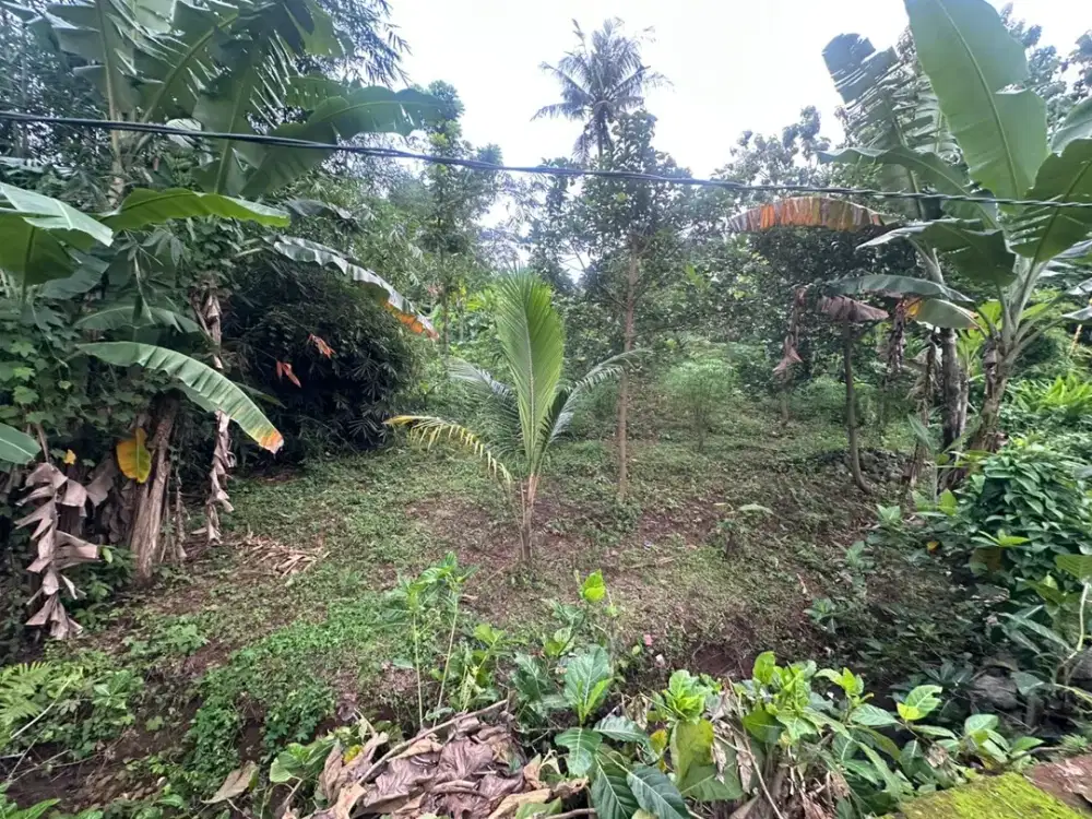 Dijual Tanah Lokasi Wonoplumbon Mijen Semarang