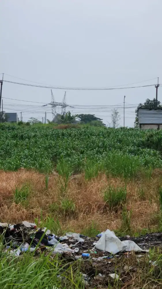 Dijual tanah 2.078 meter persegi (bukan 0 jalan) di Driyorejo-Gresik
