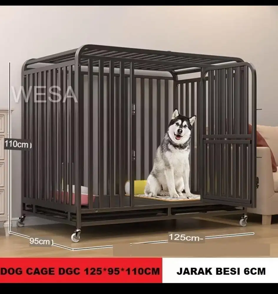 Kandang jumbo anabul