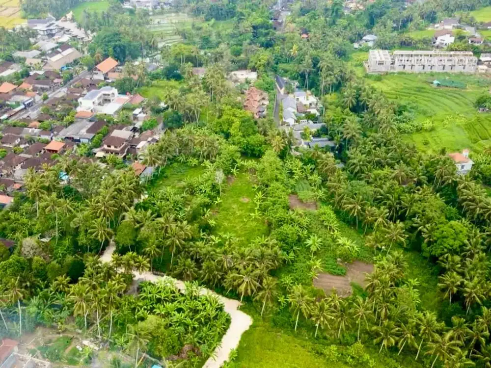 Dijual: Tanah Investasi di Area Strategis Ubud Dekat Restoran & Resort — Pengosekan, Bali